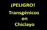 Trasngenicos Chiclayo