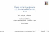 UACH Kinesiologia Fisica 2.1 Accion del Musculo