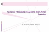 Ginecología - anatomía y fisiología del aparato reproductor femenino