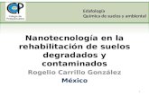 Nanotecnologías en la rehabilitación de suelos degradados y contaminados