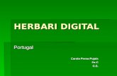 Herbari Digital