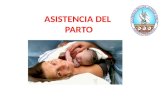 Asistencia del parto