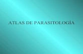 Atlas a-color-de-parasitologia