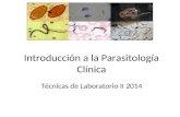Parasitologia clinica