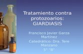Tratamiento contra protozoarios giardiasis