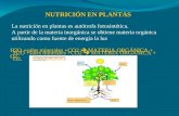 NutricióN Plantas