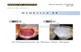 PDV: Biologia Guía N°22 [4° Medio] (2012)