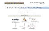 PDV: Biologia Guía N°19 [4° Medio] (2012)