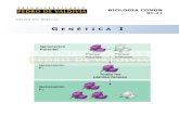 PDV: Biologia Guía N°21 [4° Medio] (2012)