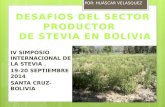 Desafio produccion stevia bolivia - IV SIMPOSIO INTERNACIONAL DE LA STEVIA