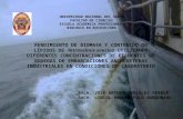 Rendimiento de biomasa y contenido de lípidos de Tetraselmis suecica utilizando diferentes concentraciones de efluentes de bodegas de embarcaciones anchoveteras industriales en condiciones