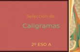 Presentación Caligramas 2A