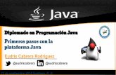 [ES] Primeros pasos con la Plataforma Java