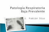 Patología respiratoria baja prevalente. actual