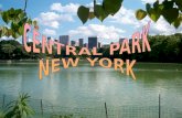 Central park-new-york-