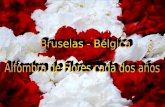 Bélgica bruselas flores