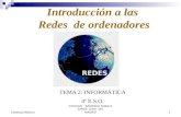Redes TERESA PRIETO SAFA