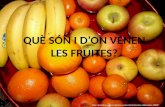 Què són i d’on venen les fruites