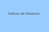íNdices De Madurez