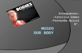 Museo Our Body