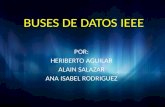 Buses de datos IEEE