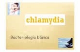 Chlamydia - Bacteriologia basica