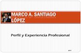Perfil profesional marco santiago 2013 feb
