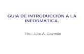 Guia De IntroducciÓn A La Informatica