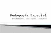 Presentación final de pedagogía especial2