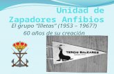 Unidad de Zapadores Anfibios Grupo illetas (Mallorca)