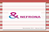 Nefrona project: newsletter 4