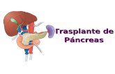 Trasplante De Pancreas