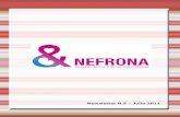 Nefrona project: newsletter 5