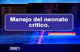 Manejo Del Neonato Critico