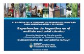 Experiencias de Argentina en el análisis sectorial cárnico
