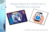 Seguridad en internet y telefonia celular