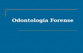 Odontologa forense-1216695482852376-9