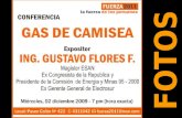 Ing. Gustavo Flores