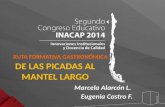 Congreso Educativo INACAP 2014 - Marcela Alarcón