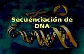 Secuenciación de DNA