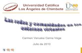 Redes Sociales Y Redes Conicimiento Carmen Cerna