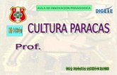 Cultura paracas 6º prim