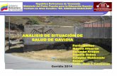 Presentación Análisis de Situación de Salud  (ASIS). Gavidia. Mérida, estado Mérida. Venezuela