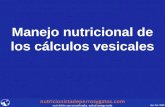 Manejo nutricional calculos