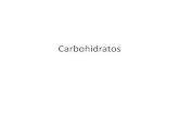 7 Carbohidratos