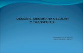 Osmosis y transporte de membrana 02.08.2010