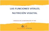 Funciones vitales. nutrición vegetal
