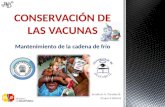 Conservación de las vacunas