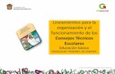 Lineamientos Consejo Tecnico Escolar 2013. Centro de Maestros Atizapan de Zaragoza