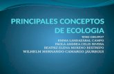 Principales conceptos de ecologia